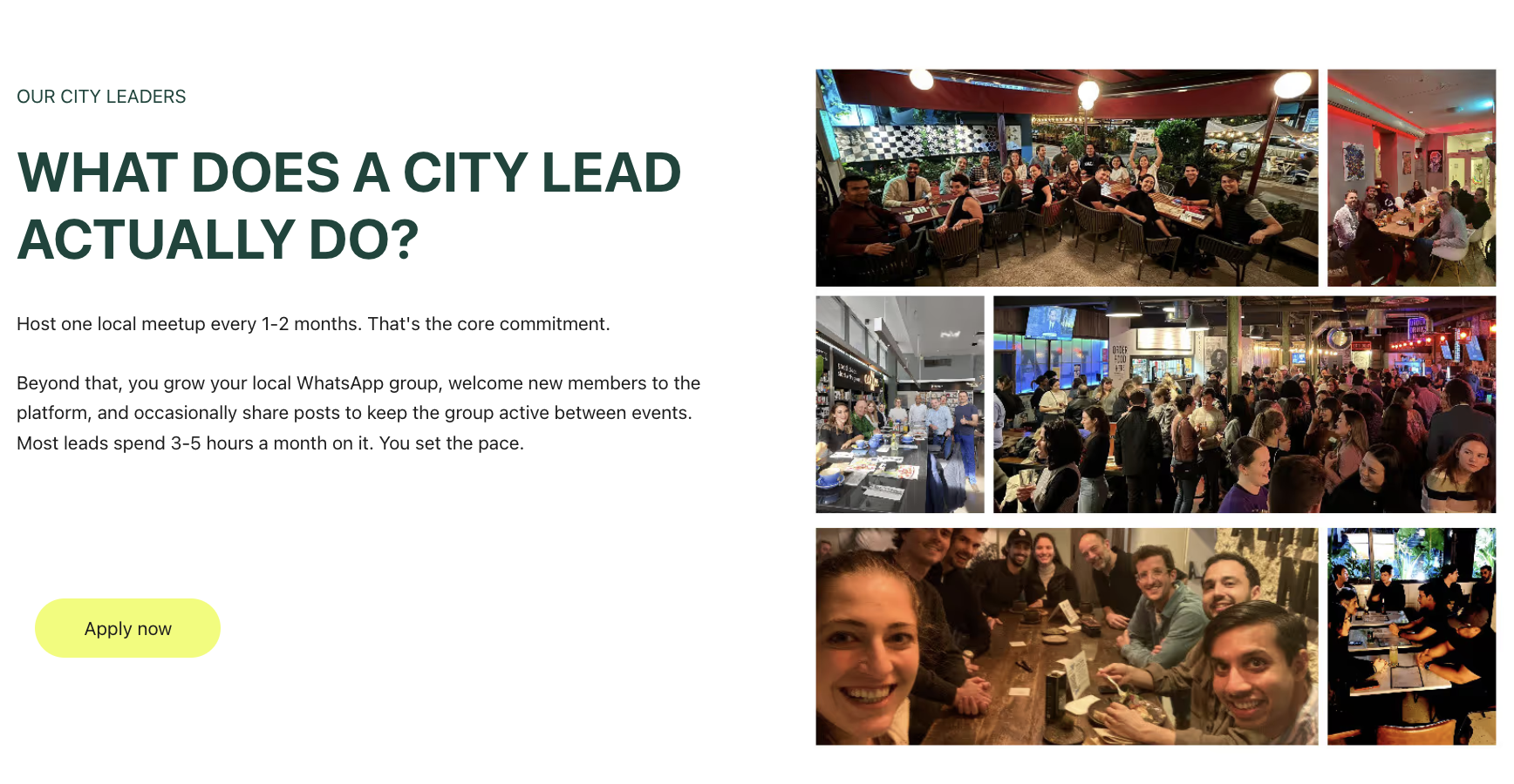 City lead program